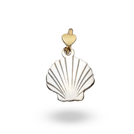 sv10k-conchiglia-000-13448-jpg