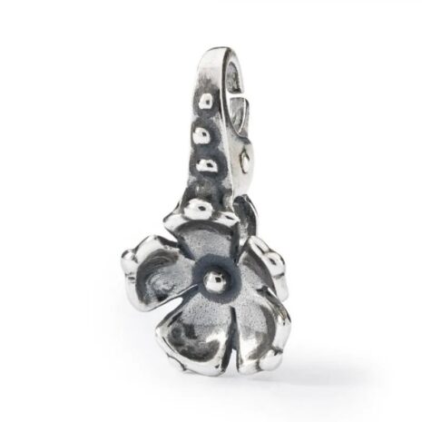 tagpe-00085-000-17698-jpg